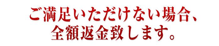 �W���W�����t�g
